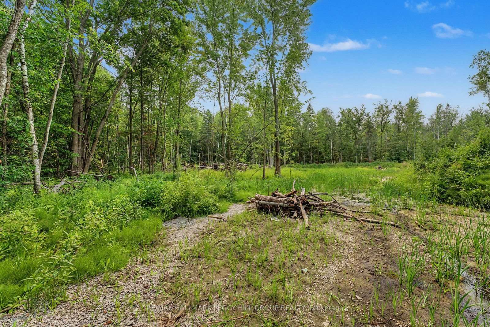 Photo 4 of 6905 County Road 21, Essa, Rural Essa — HOMEH