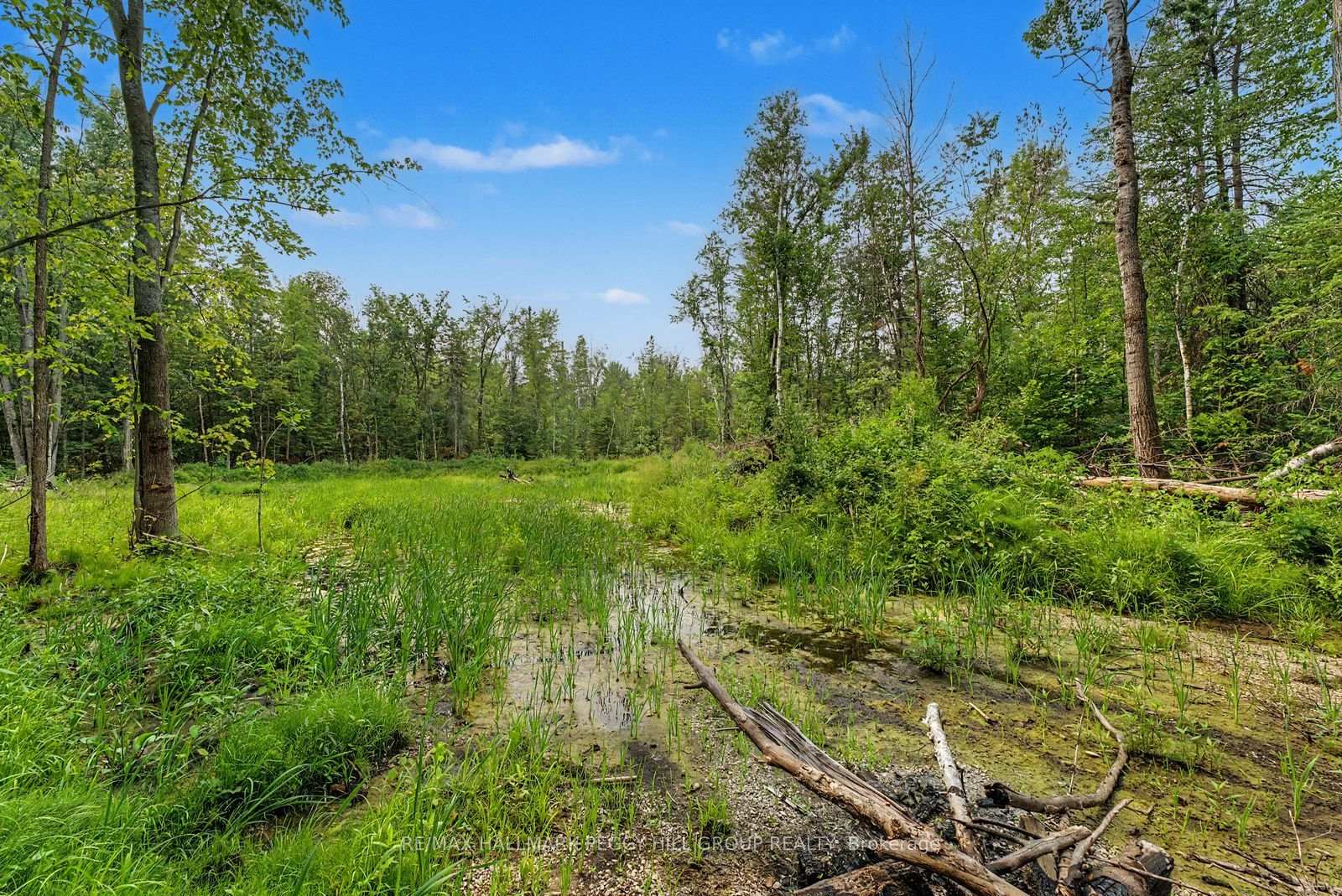 Photo 5 of 6905 County Road 21, Essa, Rural Essa — HOMEH