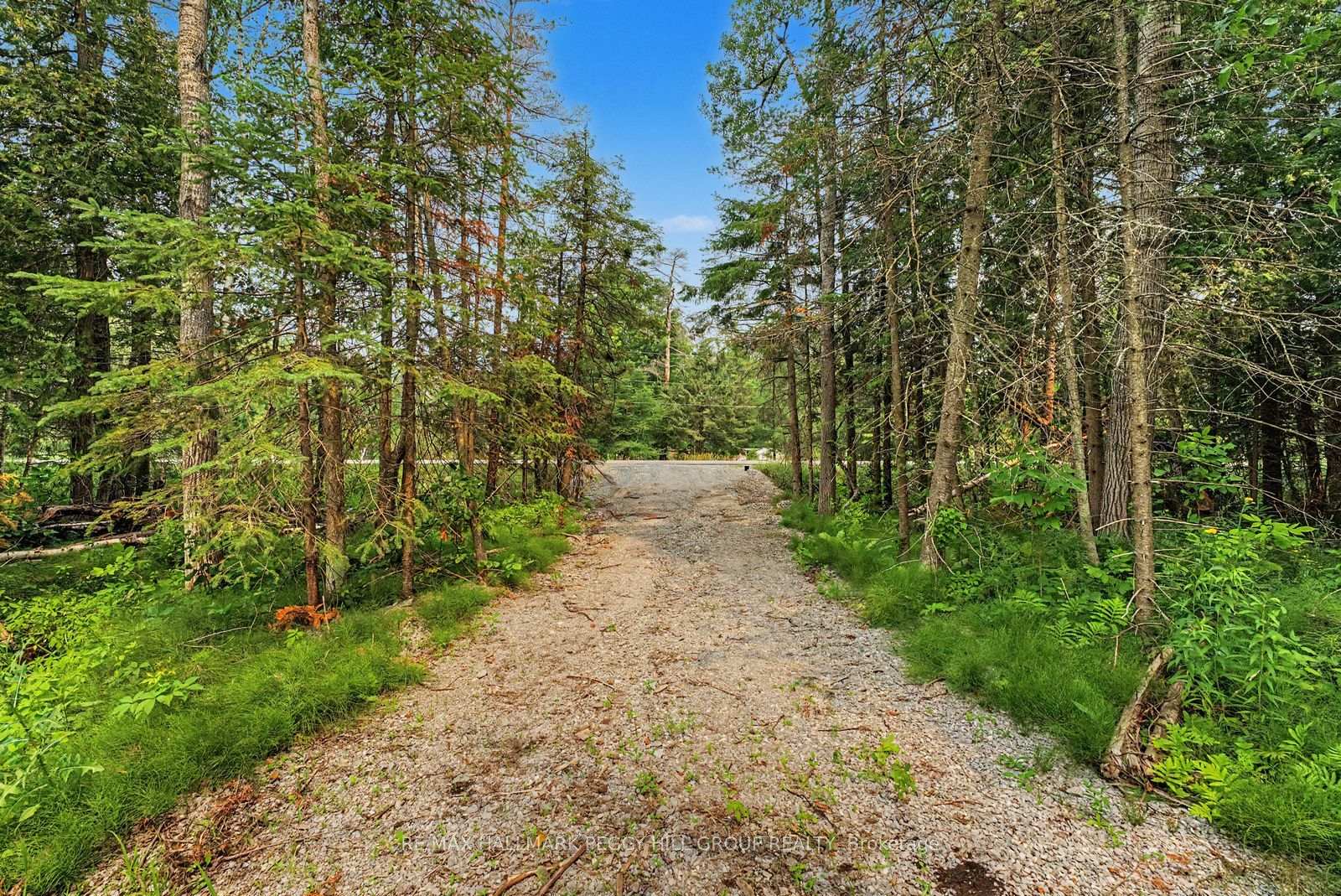 Photo 6 of 6905 County Road 21, Essa, Rural Essa — HOMEH
