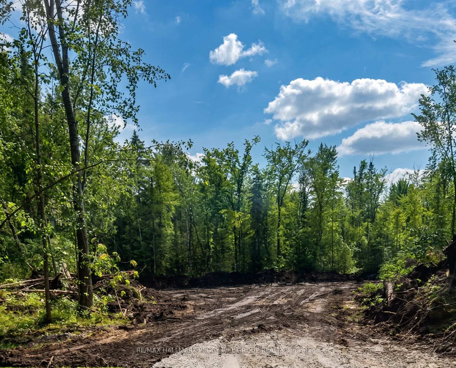 Photo 8 of 6905 County Road 21, Essa, Rural Essa — HOMEH