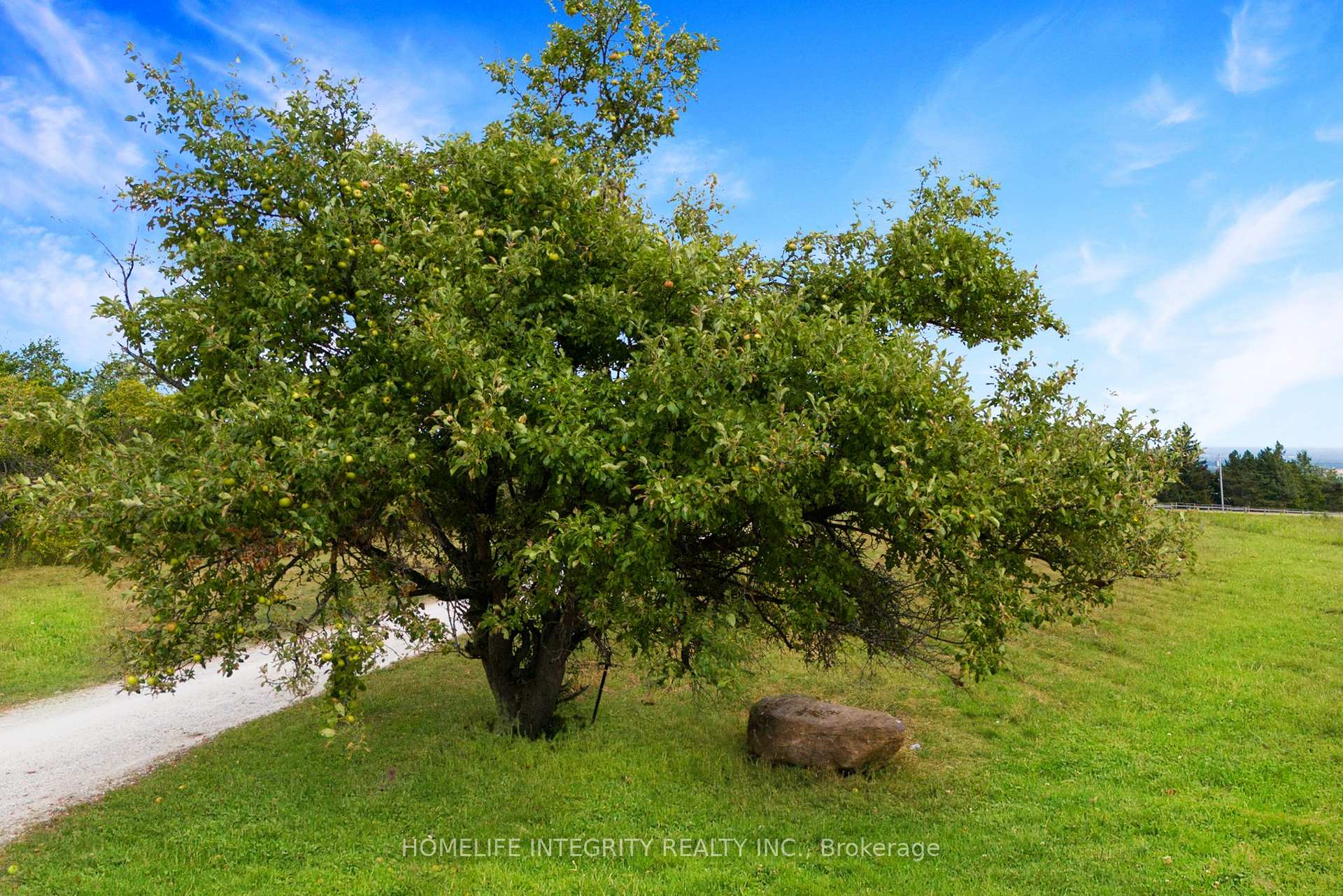Photo 30 of 838722 4th Line E, Mulmur, Rural Mulmur — HOMEH