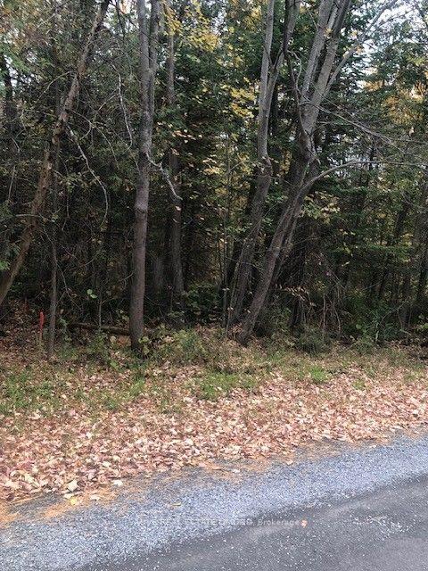 Photo 3 of Concession 10 Road Acres, North Glengarry, North Glengarry (Lochiel) Twp — HOMEH