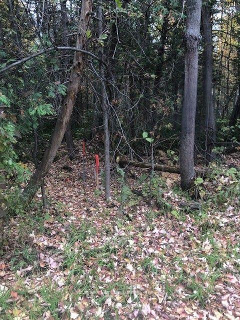 Photo 4 of Concession 10 Road Acres, North Glengarry, North Glengarry (Lochiel) Twp — HOMEH