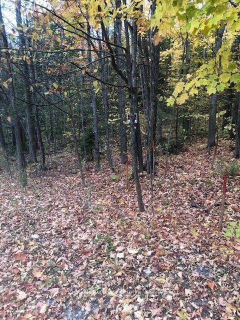 Photo 5 of Concession 10 Road Acres, North Glengarry, North Glengarry (Lochiel) Twp — HOMEH