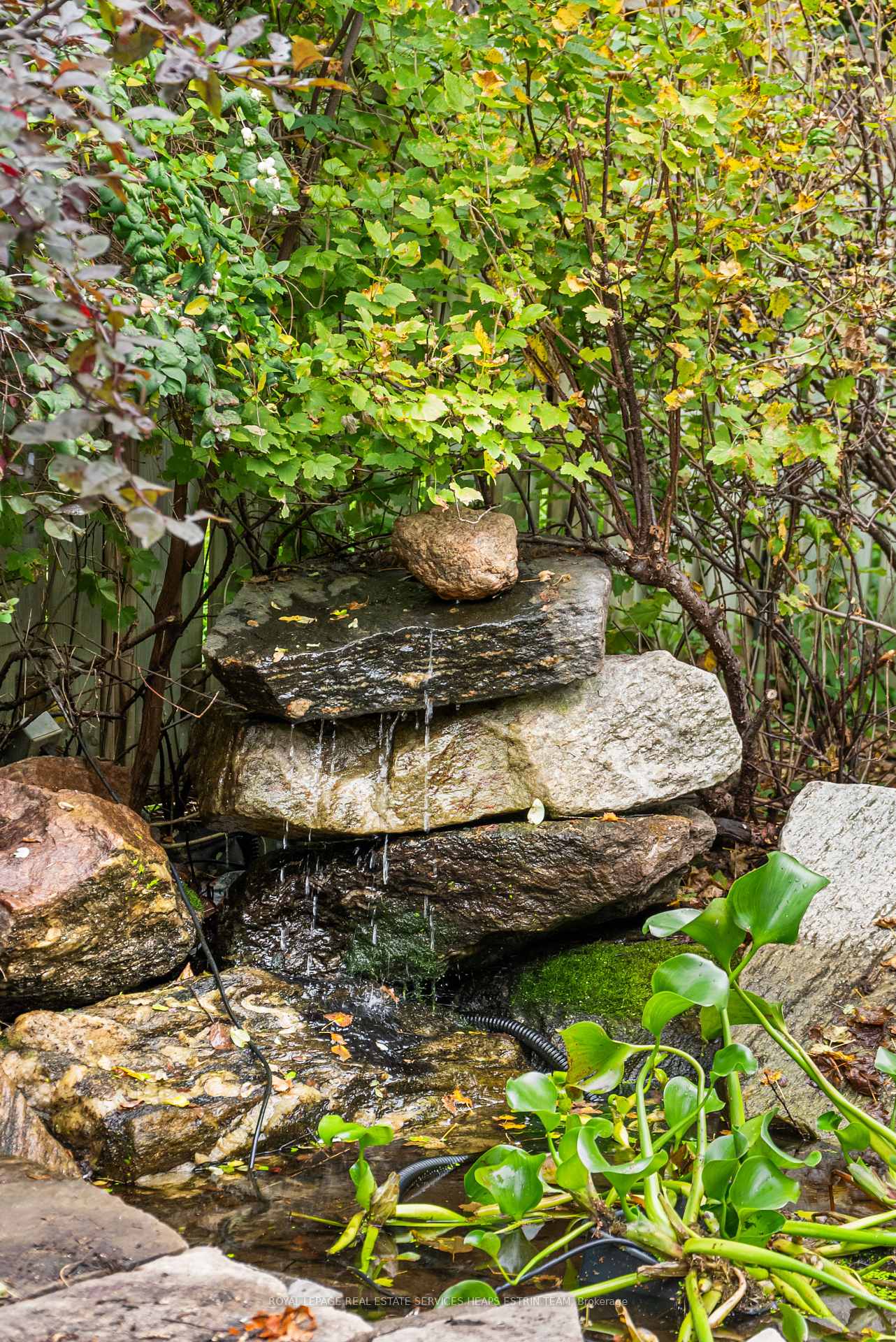 Photo 44 of 9 Cornish Road, Toronto, Rosedale-Moore Park — HOMEH