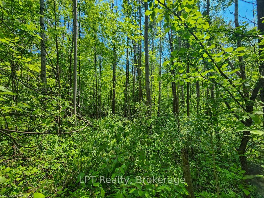 Photo 4 of PT LT 23 Maple Drive, Northern Bruce Peninsula — HOMEH