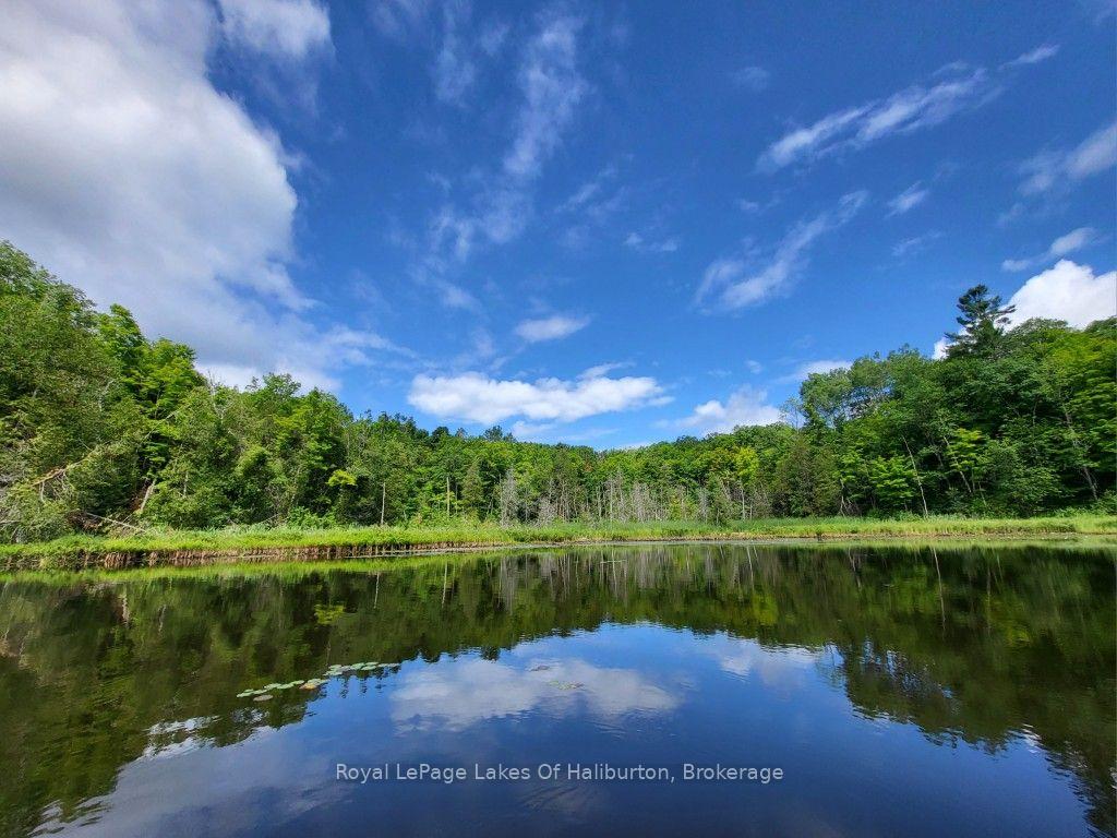 Photo 4 of 9842 Highway 35, Minden Hills, Lutterworth — HOMEH