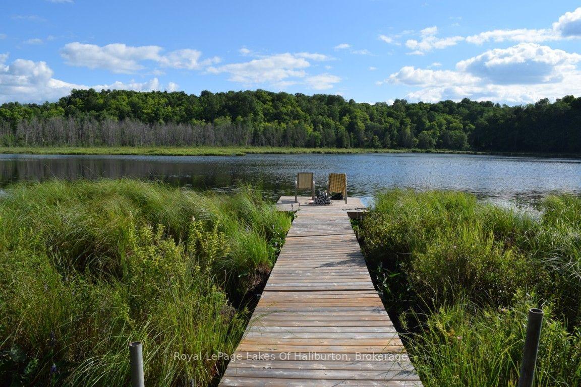 Photo 6 of 9842 Highway 35, Minden Hills, Lutterworth — HOMEH