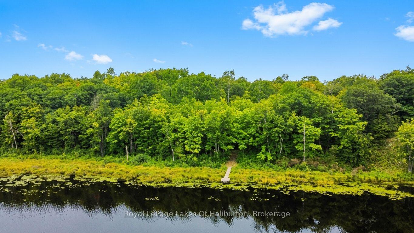 Photo 7 of 9842 Highway 35, Minden Hills, Lutterworth — HOMEH