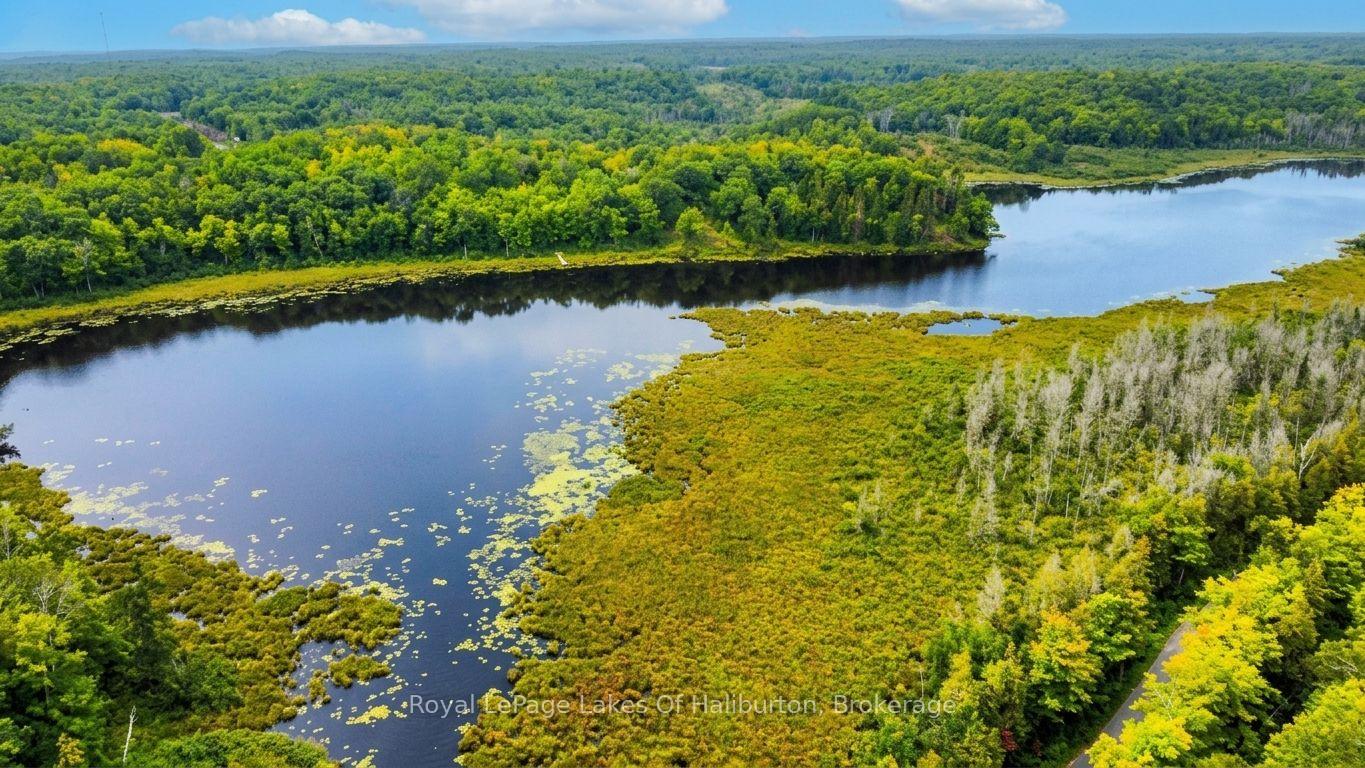 Photo 8 of 9842 Highway 35, Minden Hills, Lutterworth — HOMEH