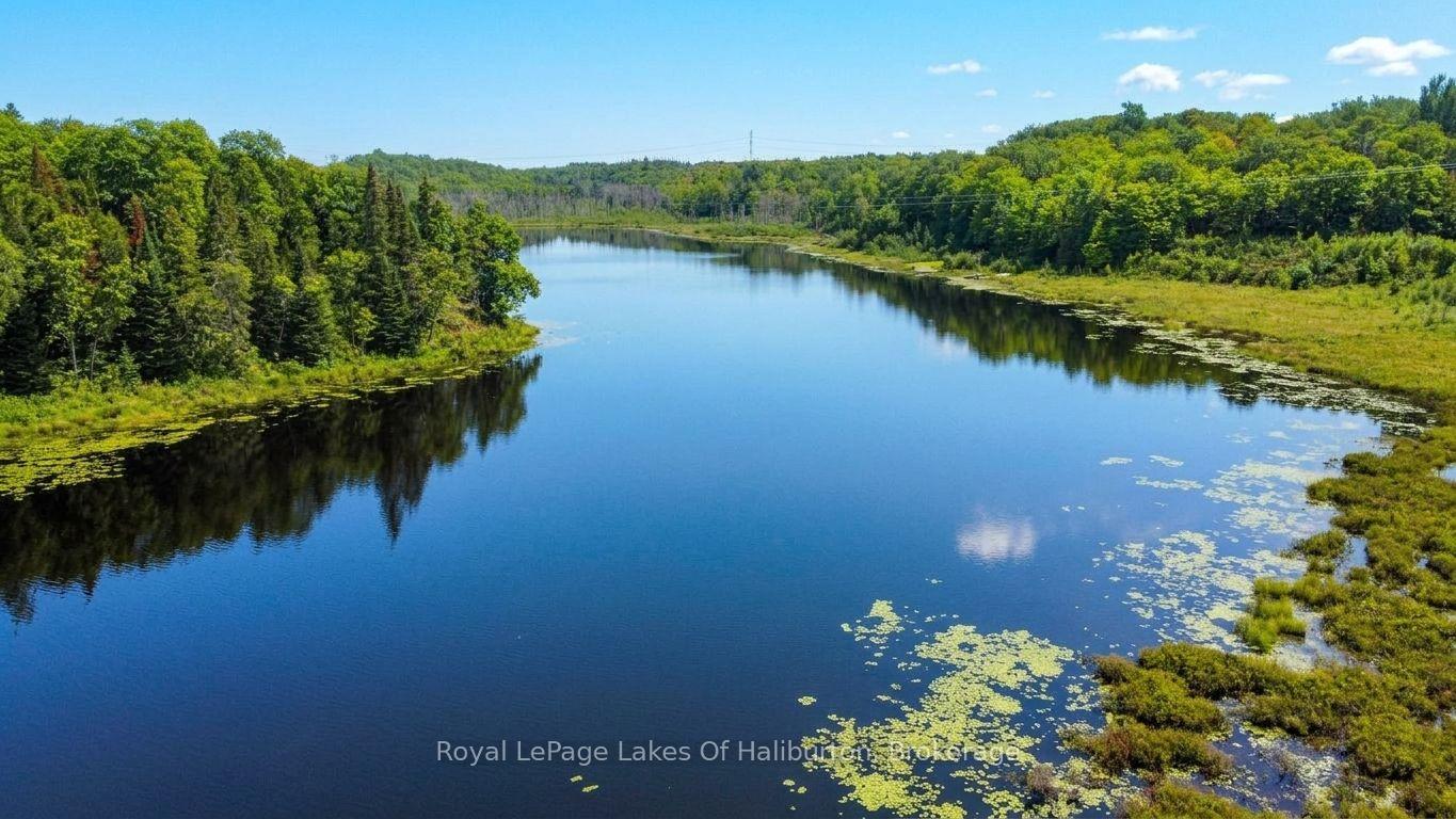 Photo 9 of 9842 Highway 35, Minden Hills, Lutterworth — HOMEH