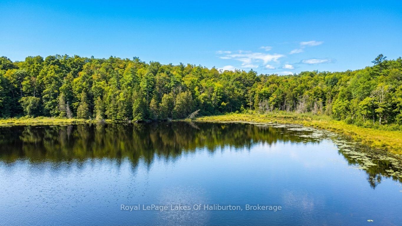 Photo 10 of 9842 Highway 35, Minden Hills, Lutterworth — HOMEH