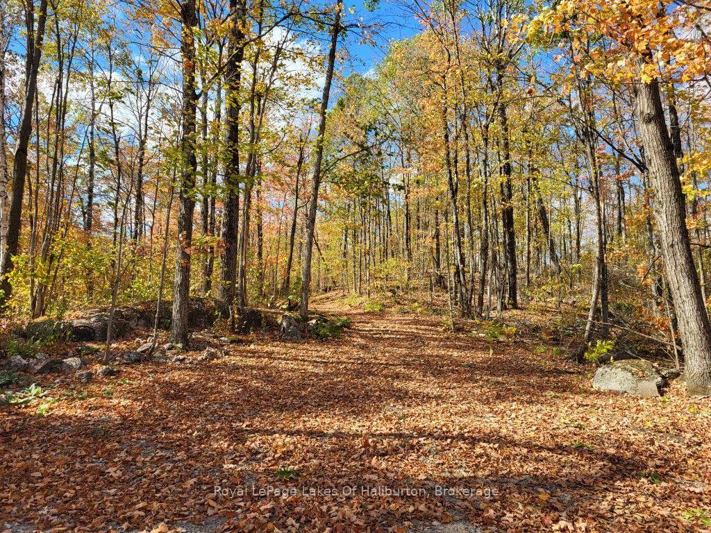Photo 13 of 9842 Highway 35, Minden Hills, Lutterworth — HOMEH