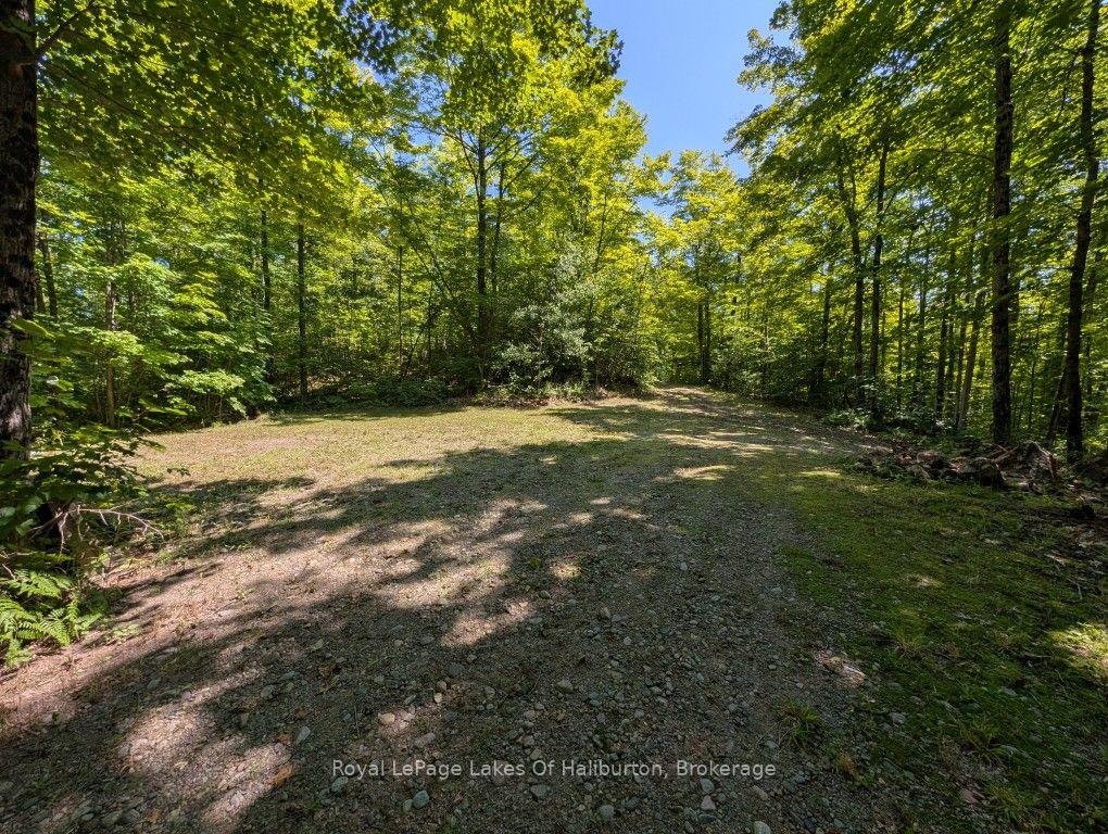 Photo 14 of 9842 Highway 35, Minden Hills, Lutterworth — HOMEH