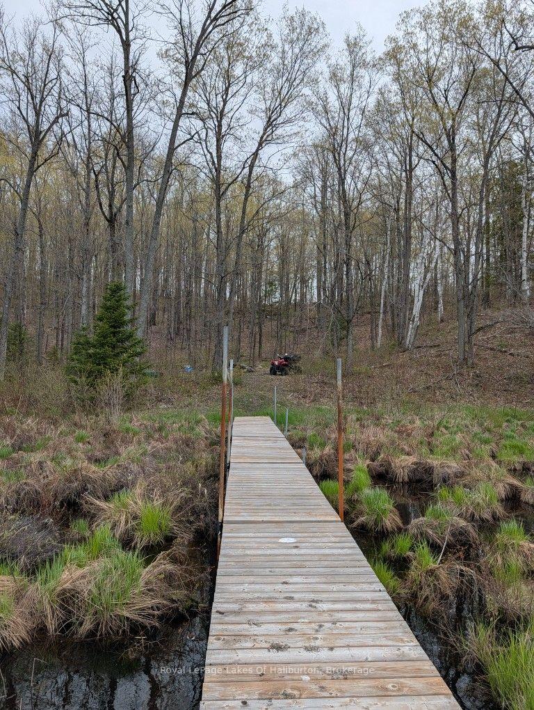 Photo 18 of 9842 Highway 35, Minden Hills, Lutterworth — HOMEH