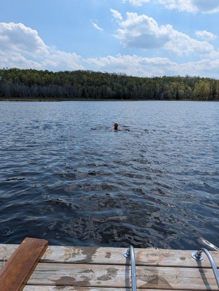 Photo 19 of 9842 Highway 35, Minden Hills, Lutterworth — HOMEH