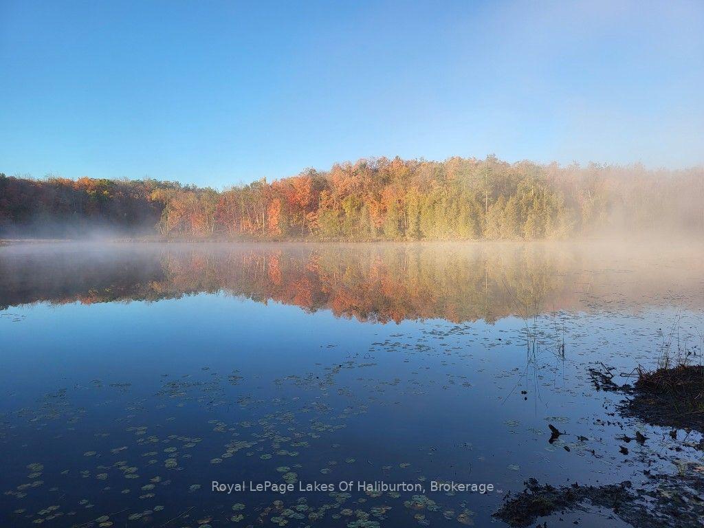 Photo 21 of 9842 Highway 35, Minden Hills, Lutterworth — HOMEH