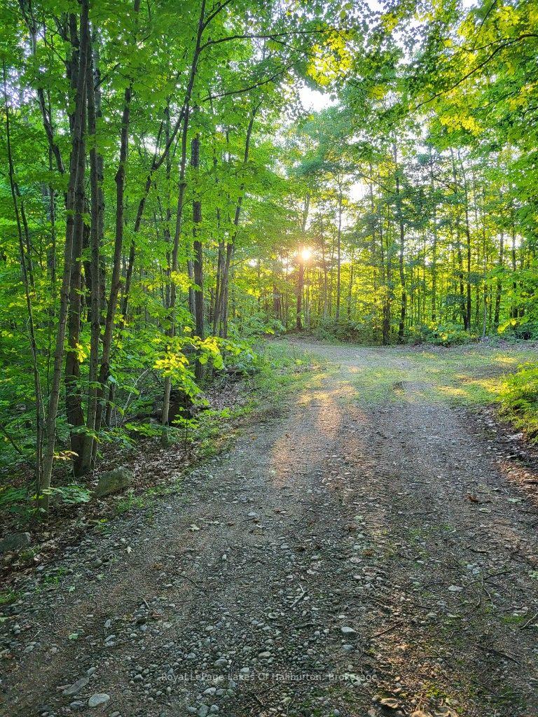 Photo 22 of 9842 Highway 35, Minden Hills, Lutterworth — HOMEH