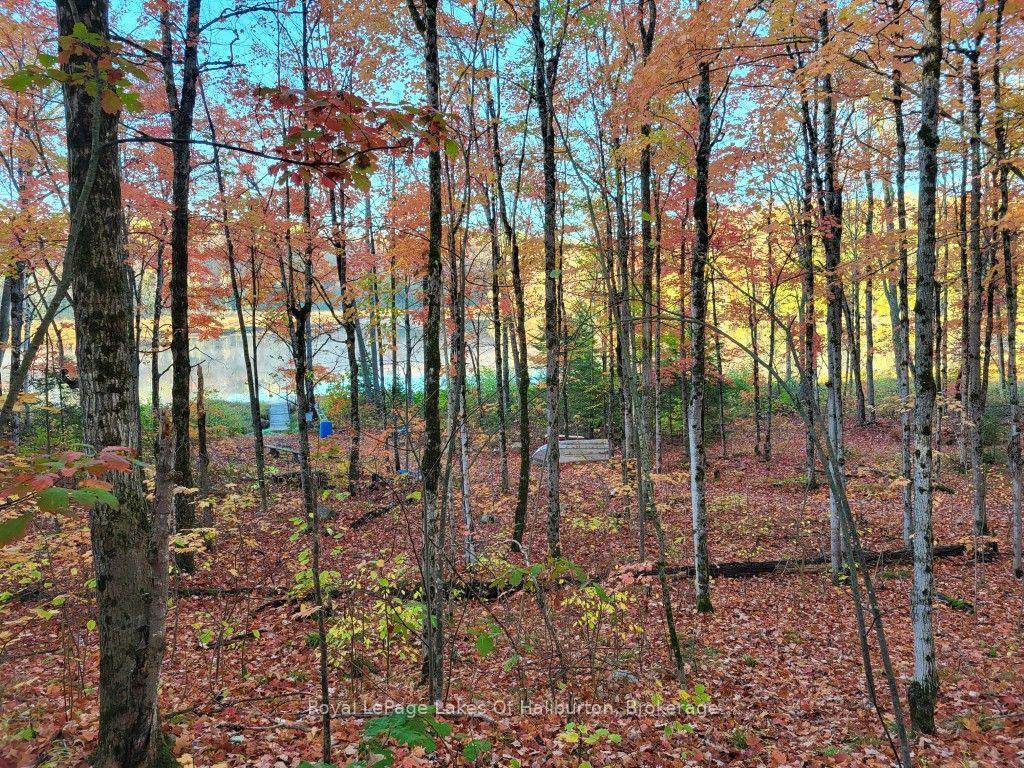 Photo 25 of 9842 Highway 35, Minden Hills, Lutterworth — HOMEH