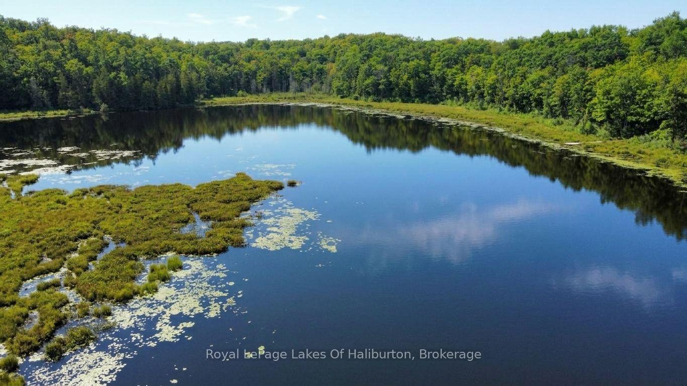 Photo 30 of 9842 Highway 35, Minden Hills, Lutterworth — HOMEH