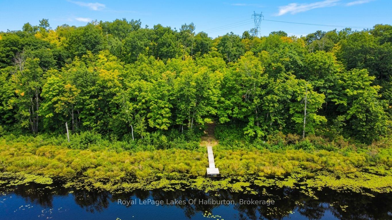 Photo 31 of 9842 Highway 35, Minden Hills, Lutterworth — HOMEH