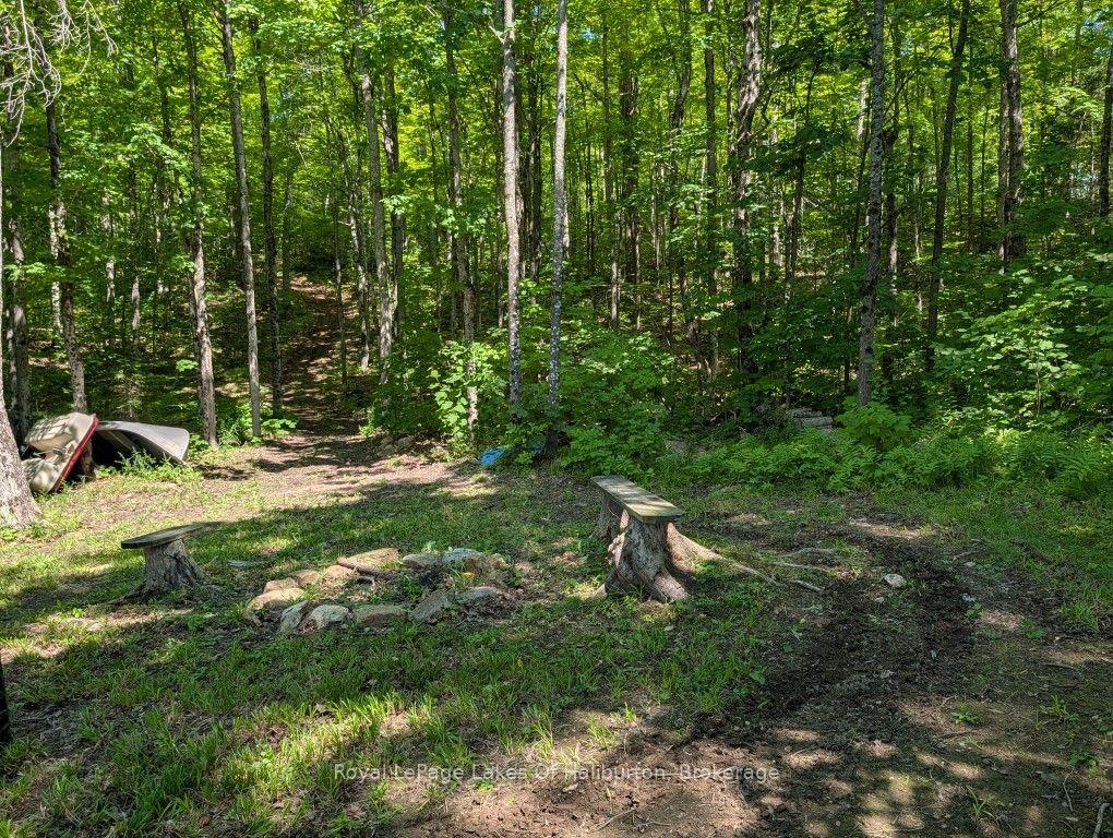 Photo 32 of 9842 Highway 35, Minden Hills, Lutterworth — HOMEH