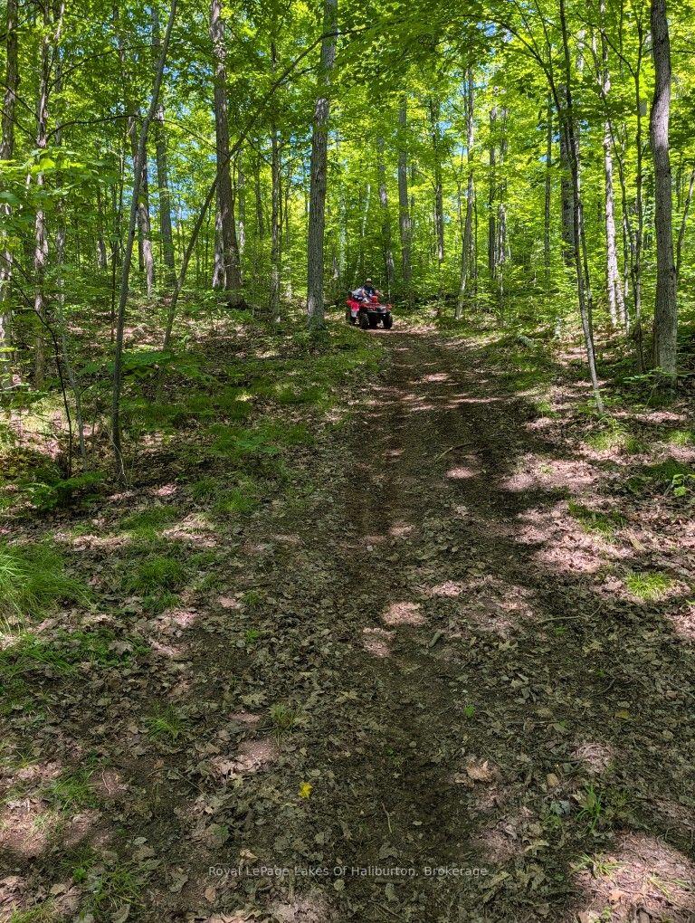 Photo 33 of 9842 Highway 35, Minden Hills, Lutterworth — HOMEH
