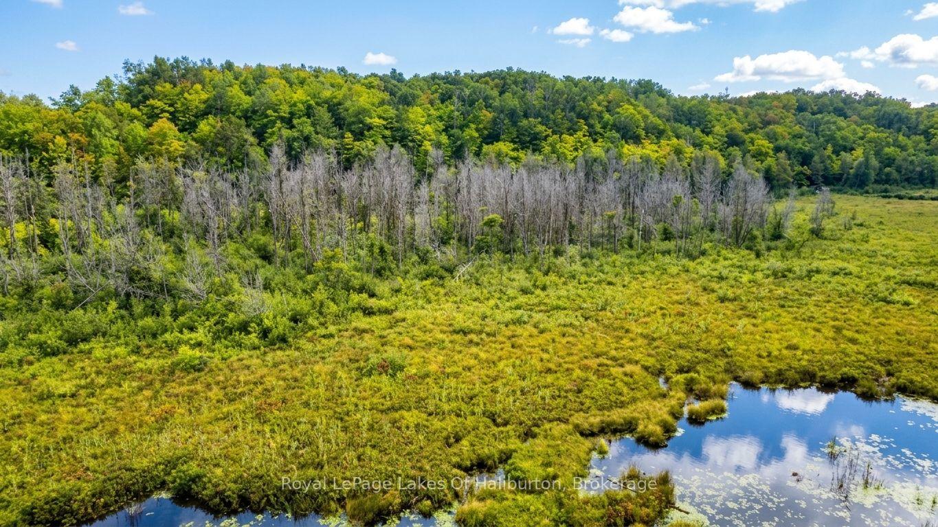 Photo 36 of 9842 Highway 35, Minden Hills, Lutterworth — HOMEH