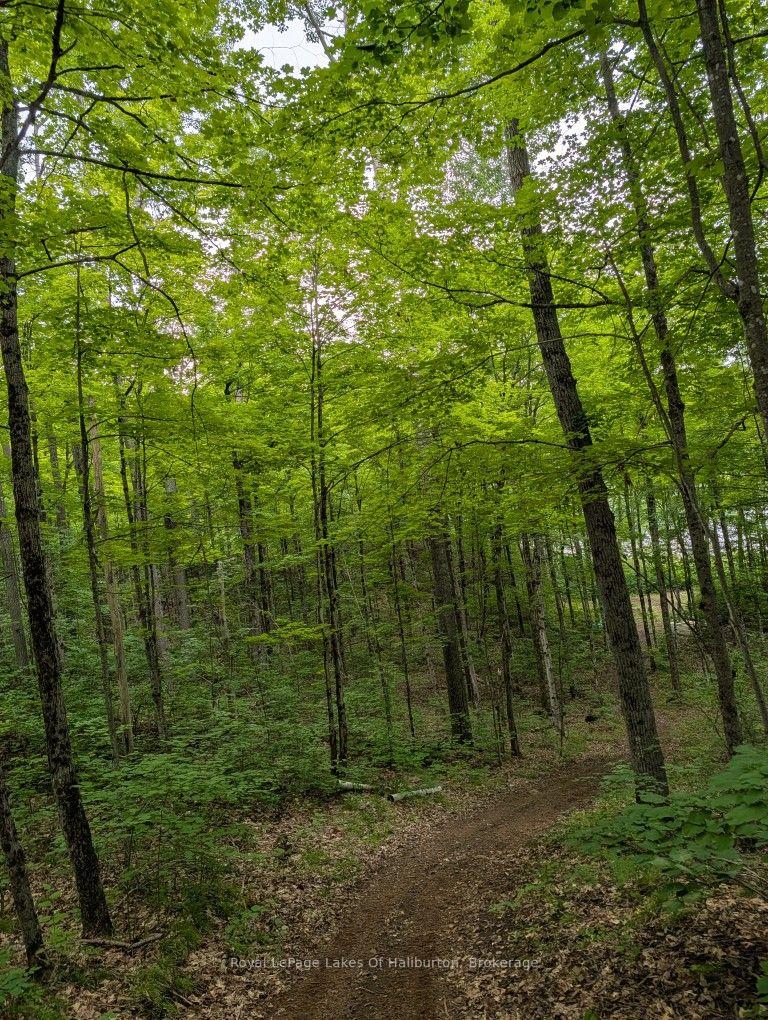 Photo 38 of 9842 Highway 35, Minden Hills, Lutterworth — HOMEH