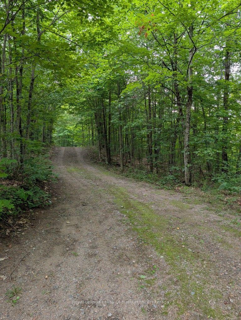 Photo 39 of 9842 Highway 35, Minden Hills, Lutterworth — HOMEH