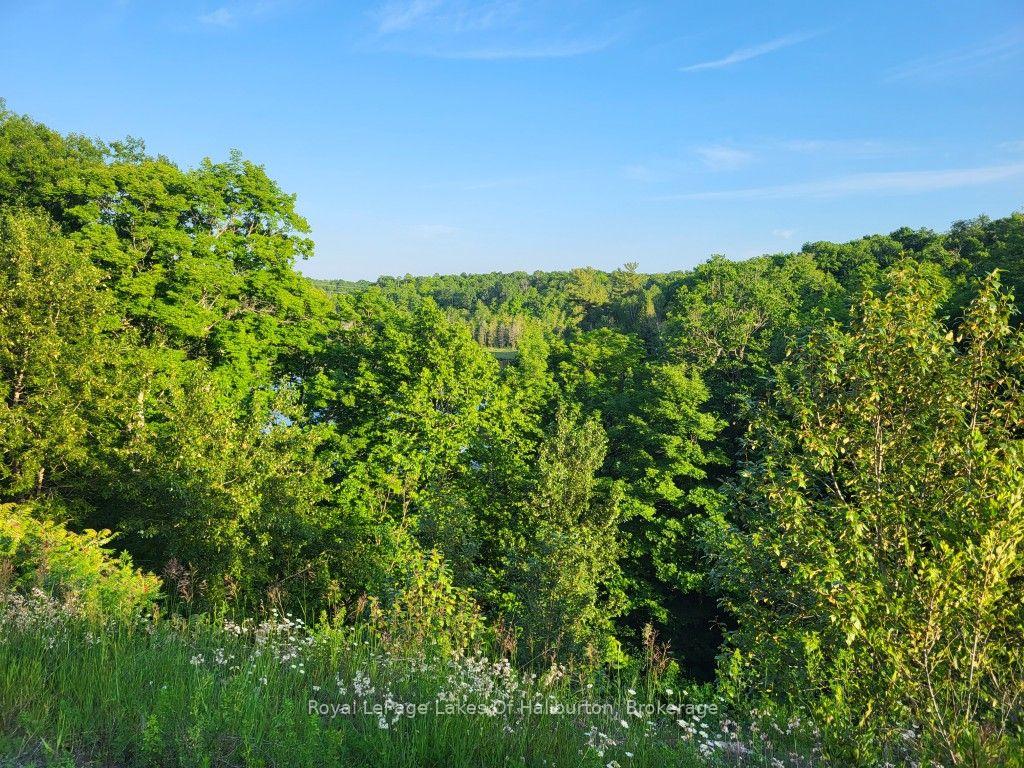 Photo 40 of 9842 Highway 35, Minden Hills, Lutterworth — HOMEH