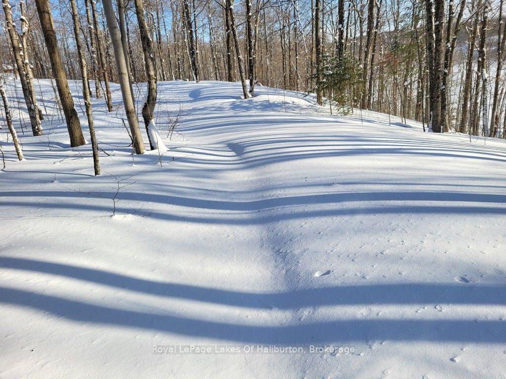 Photo 41 of 9842 Highway 35, Minden Hills, Lutterworth — HOMEH