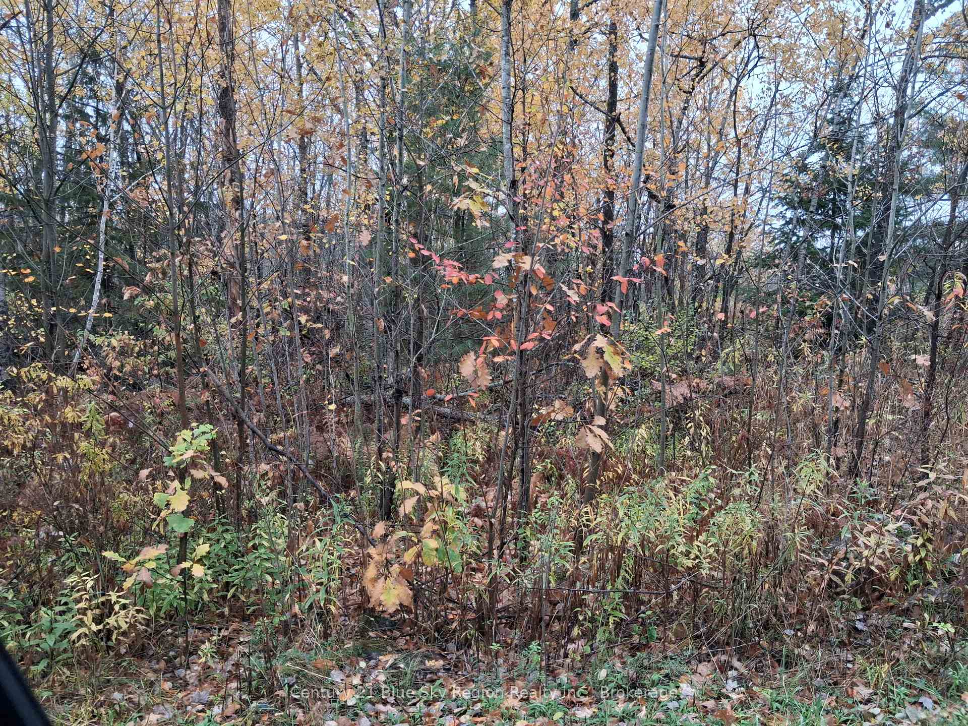 Photo of 0 Bear Creek Road