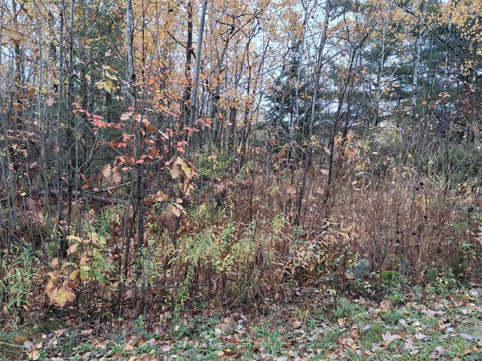 Photo 2 of Bear Creek Road, Callander — HOMEH