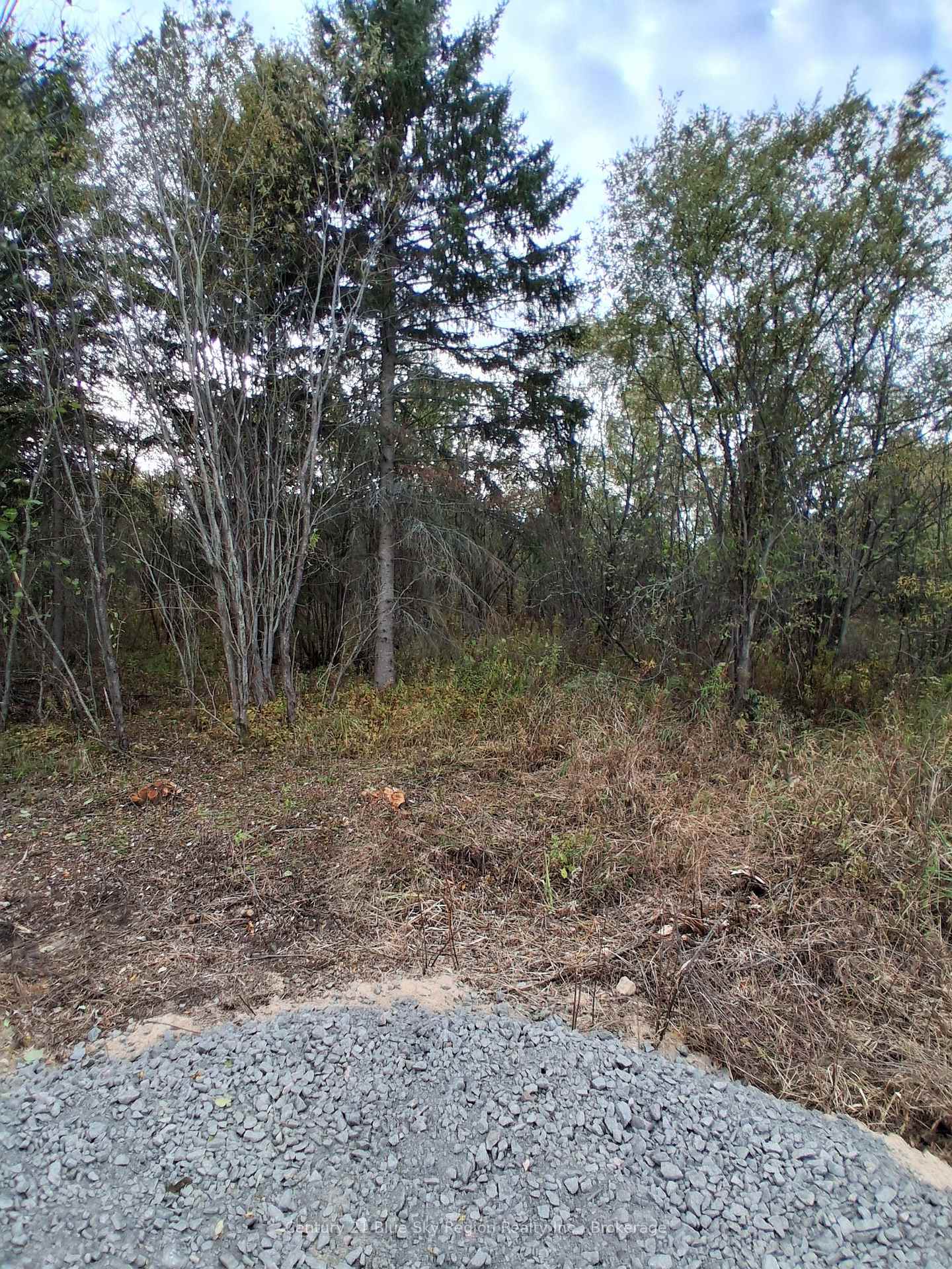 Photo of 0 Tillicum Road