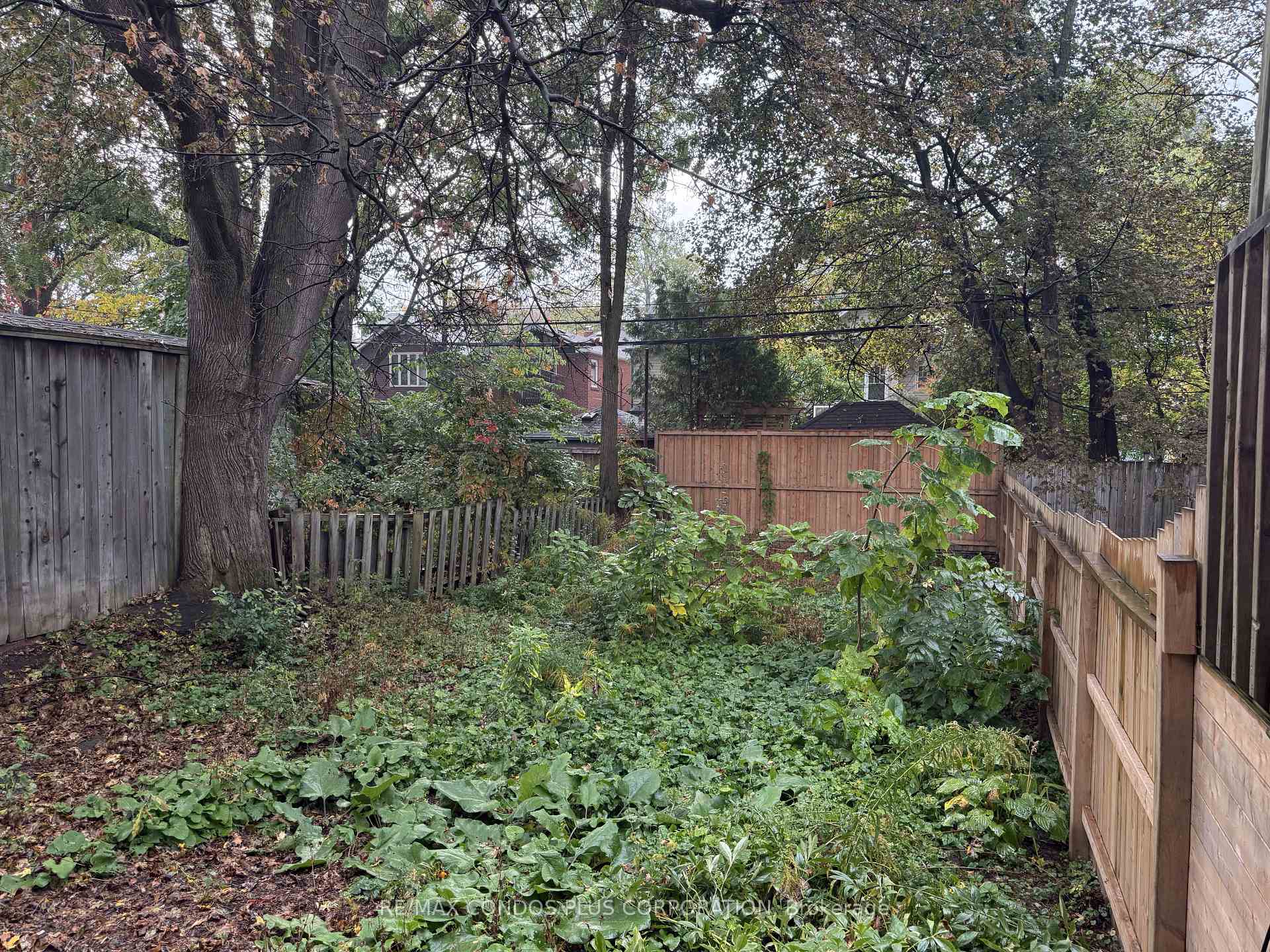 Photo 3 of 313 Manor Road E, Toronto, Mount Pleasant East — HOMEH