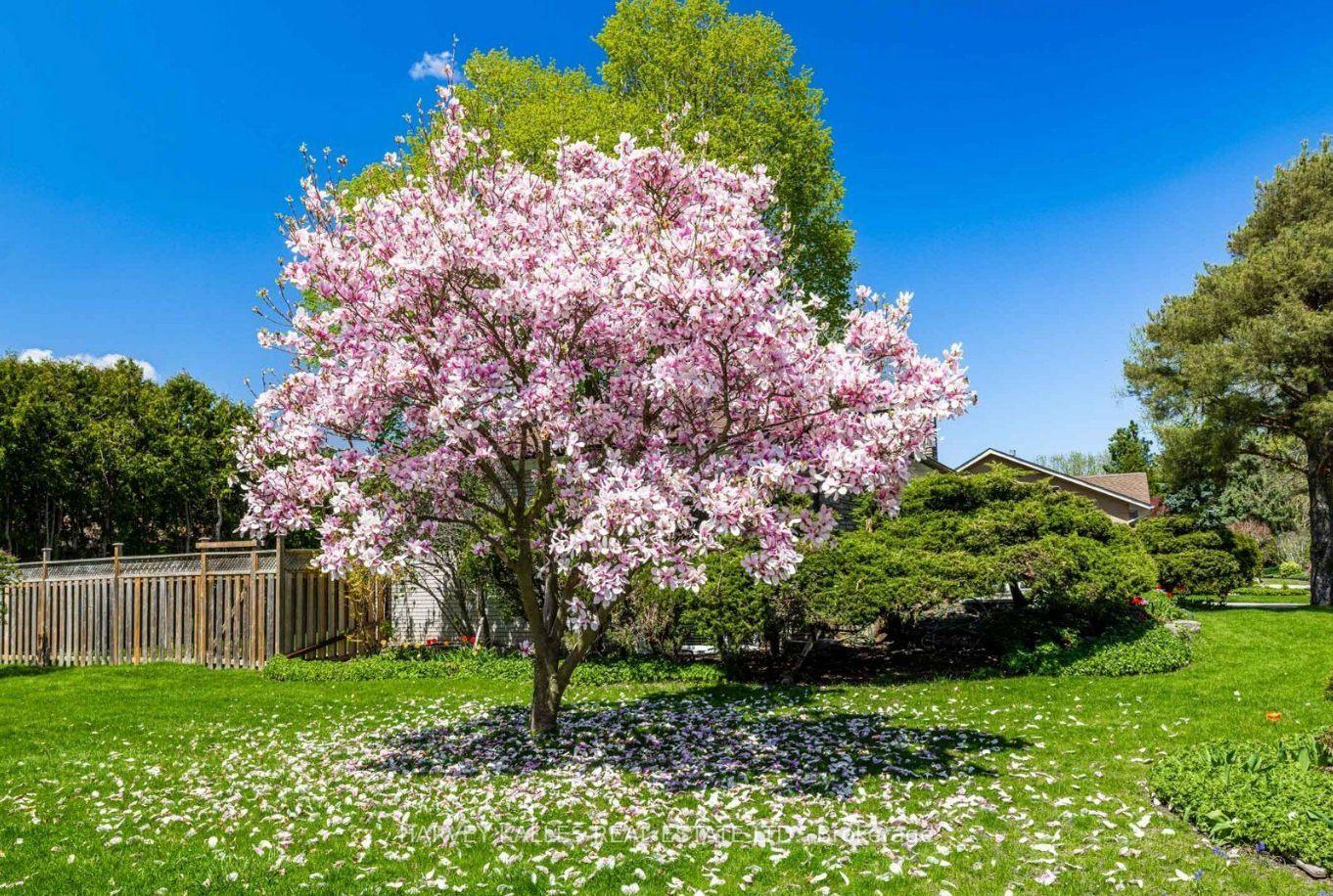 Photo 2 of 5 Parmbelle Crescent, North York, Parkwoods-Donalda — HOMEH