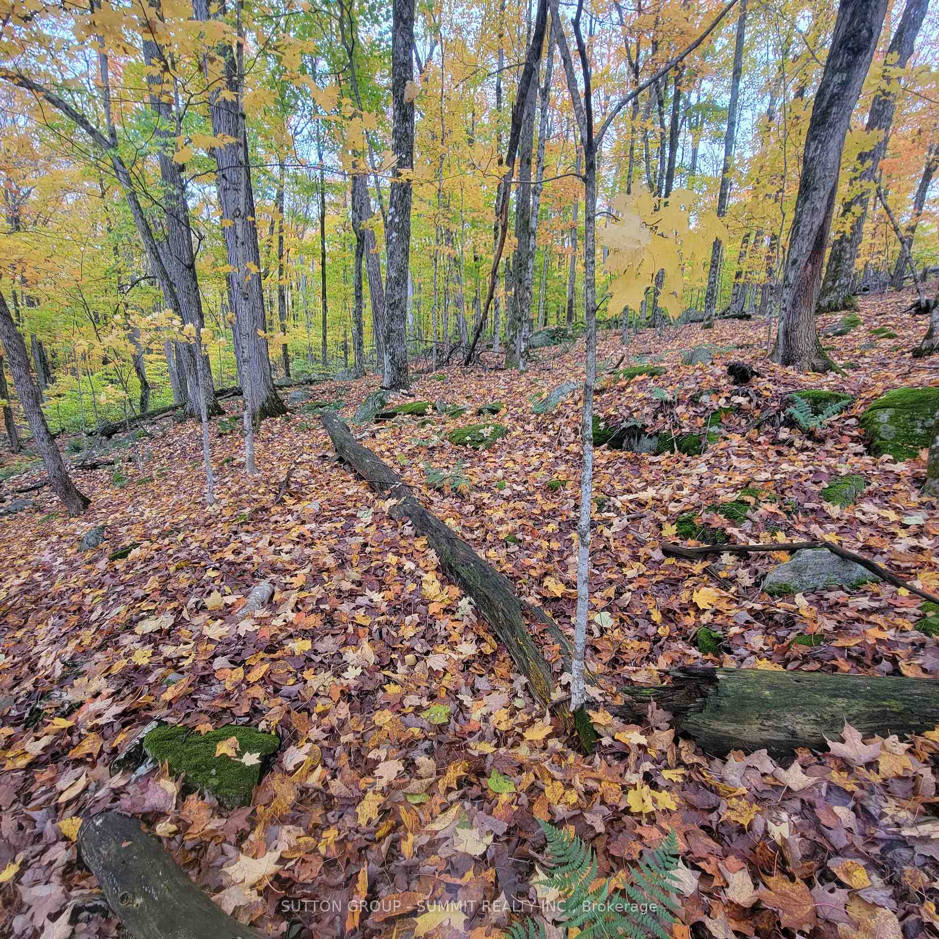 Photo of 261 Westpoint Sands Road