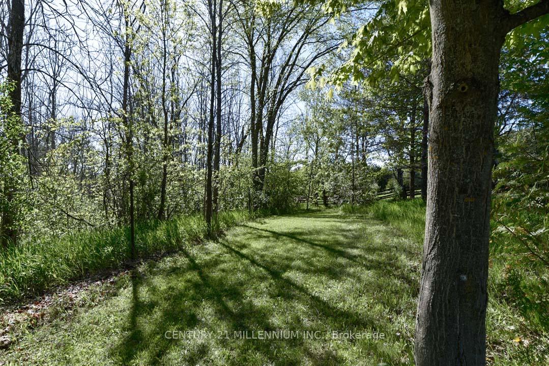Photo 49 of 753333 2nd Line Ehs, Mono, Rural Mono — HOMEH