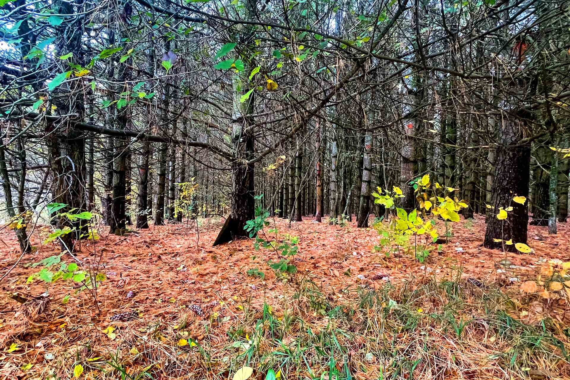 Photo 8 of 57810 12th Line, Meaford — HOMEH