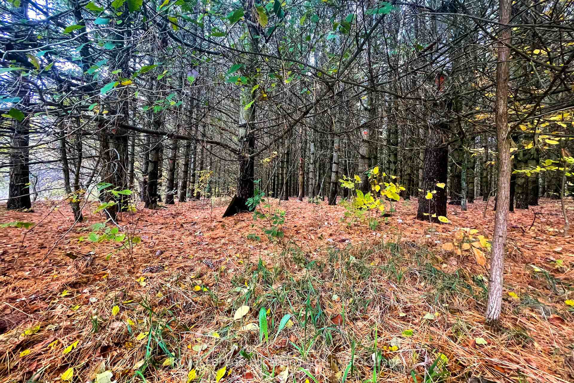 Photo 9 of 57810 12th Line, Meaford — HOMEH