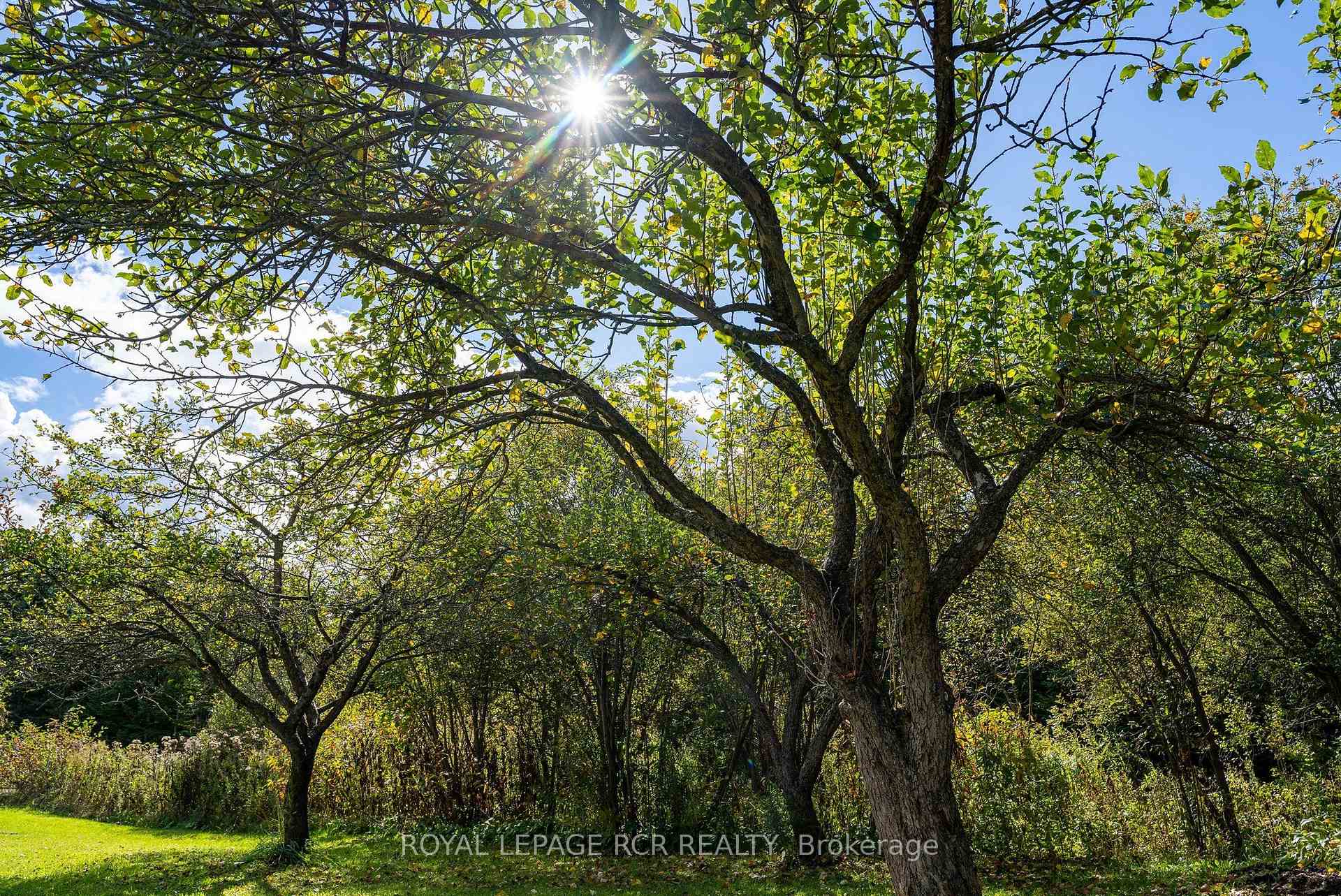 Photo 27 of 758021 2nd Line E, Mulmur, Rural Mulmur — HOMEH