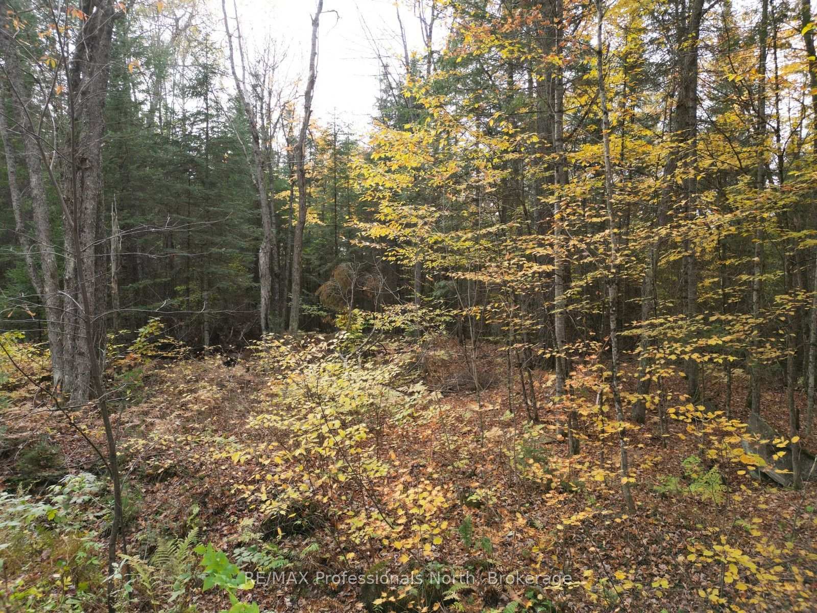 Photo 5 of Rugged Lane, Minden Hills, Hindon — HOMEH
