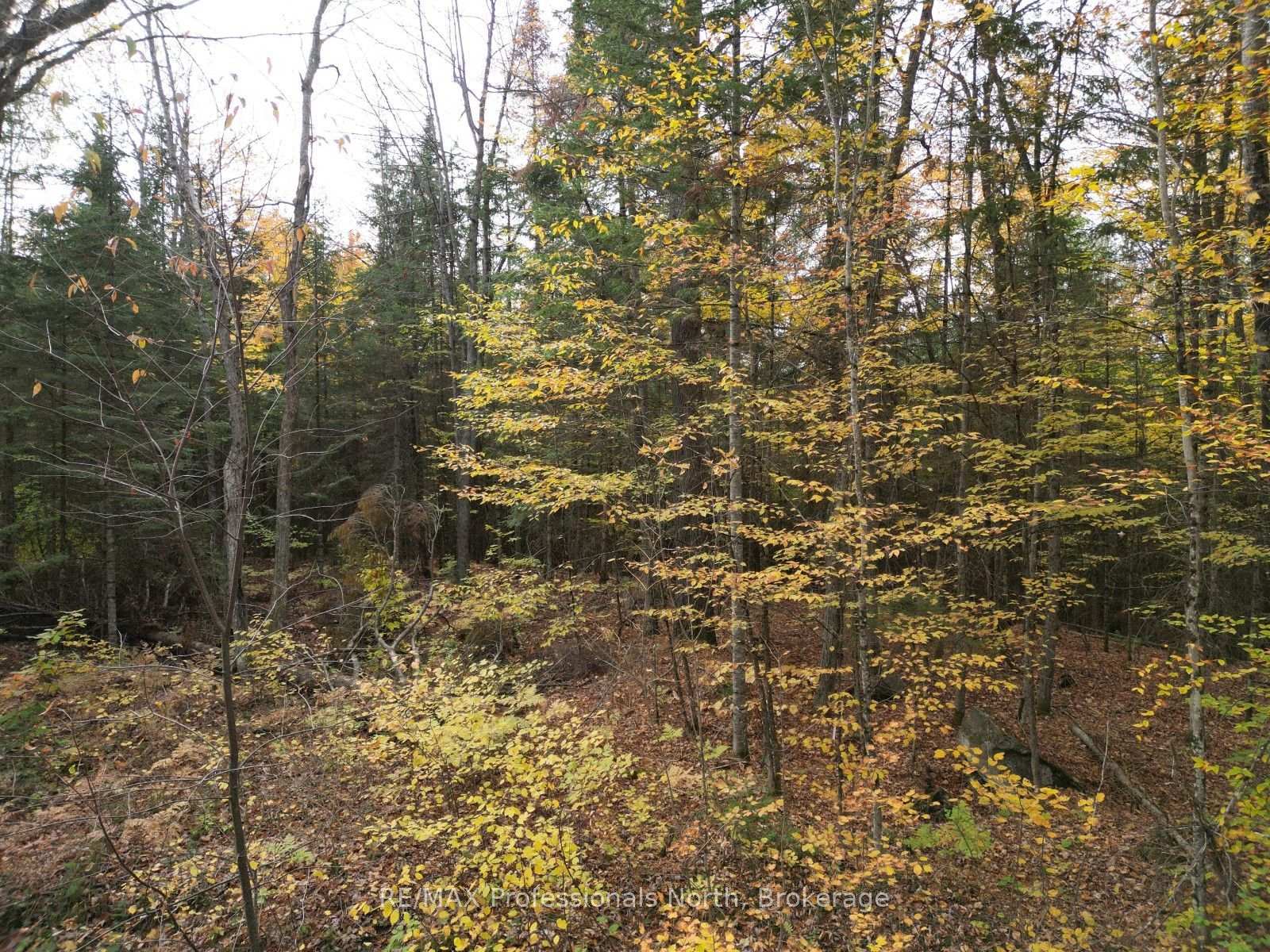 Photo 6 of Rugged Lane, Minden Hills, Hindon — HOMEH