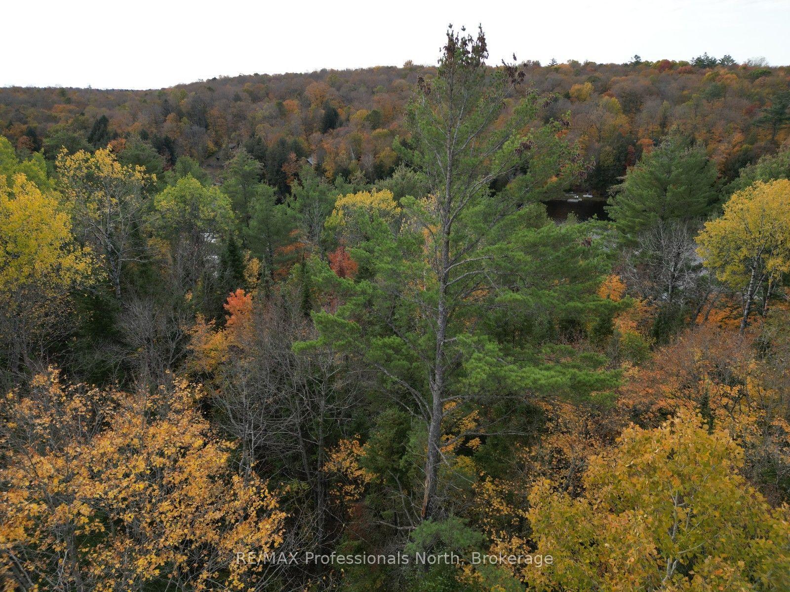 Photo 7 of Rugged Lane, Minden Hills, Hindon — HOMEH