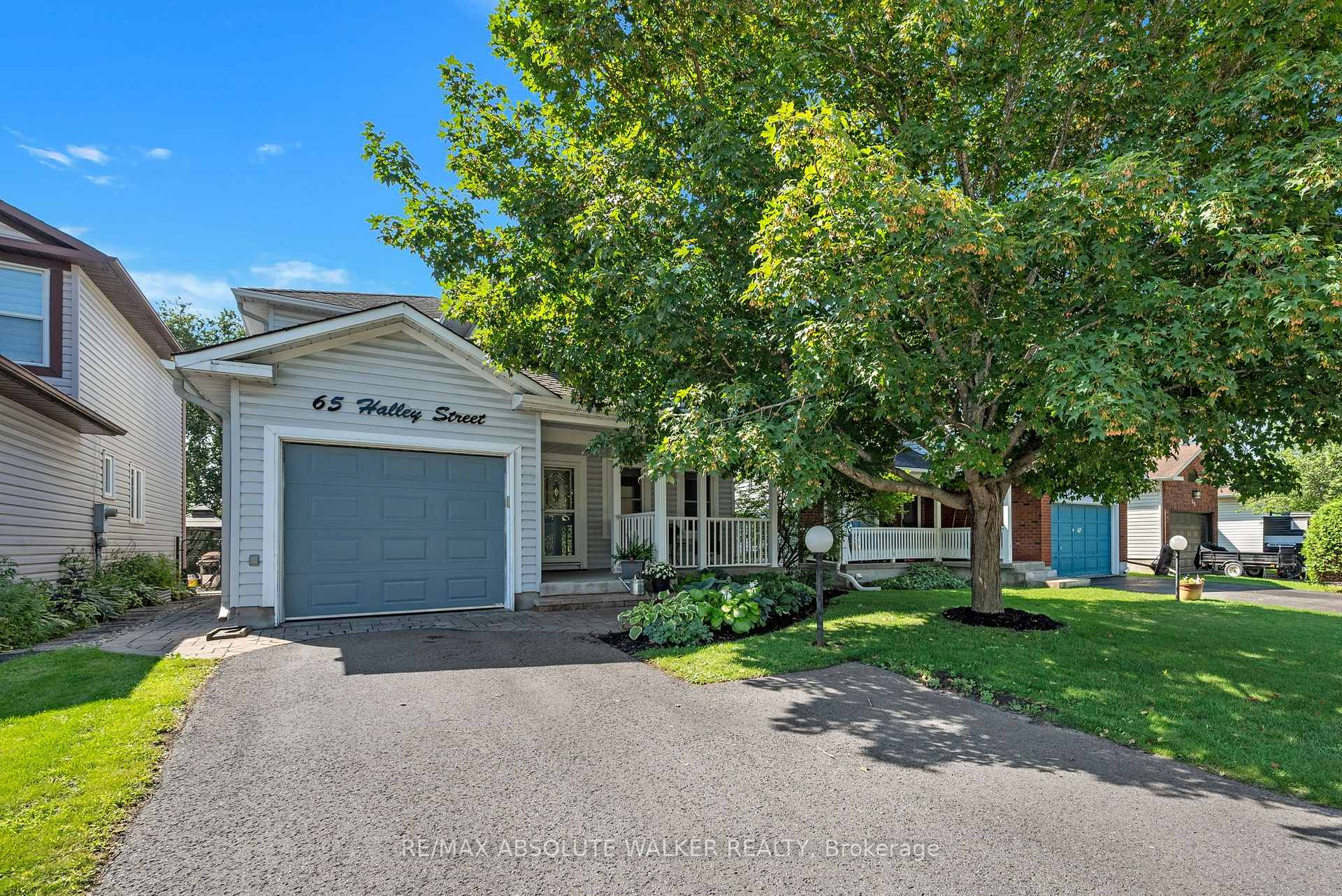 Photo of 65 Halley Street