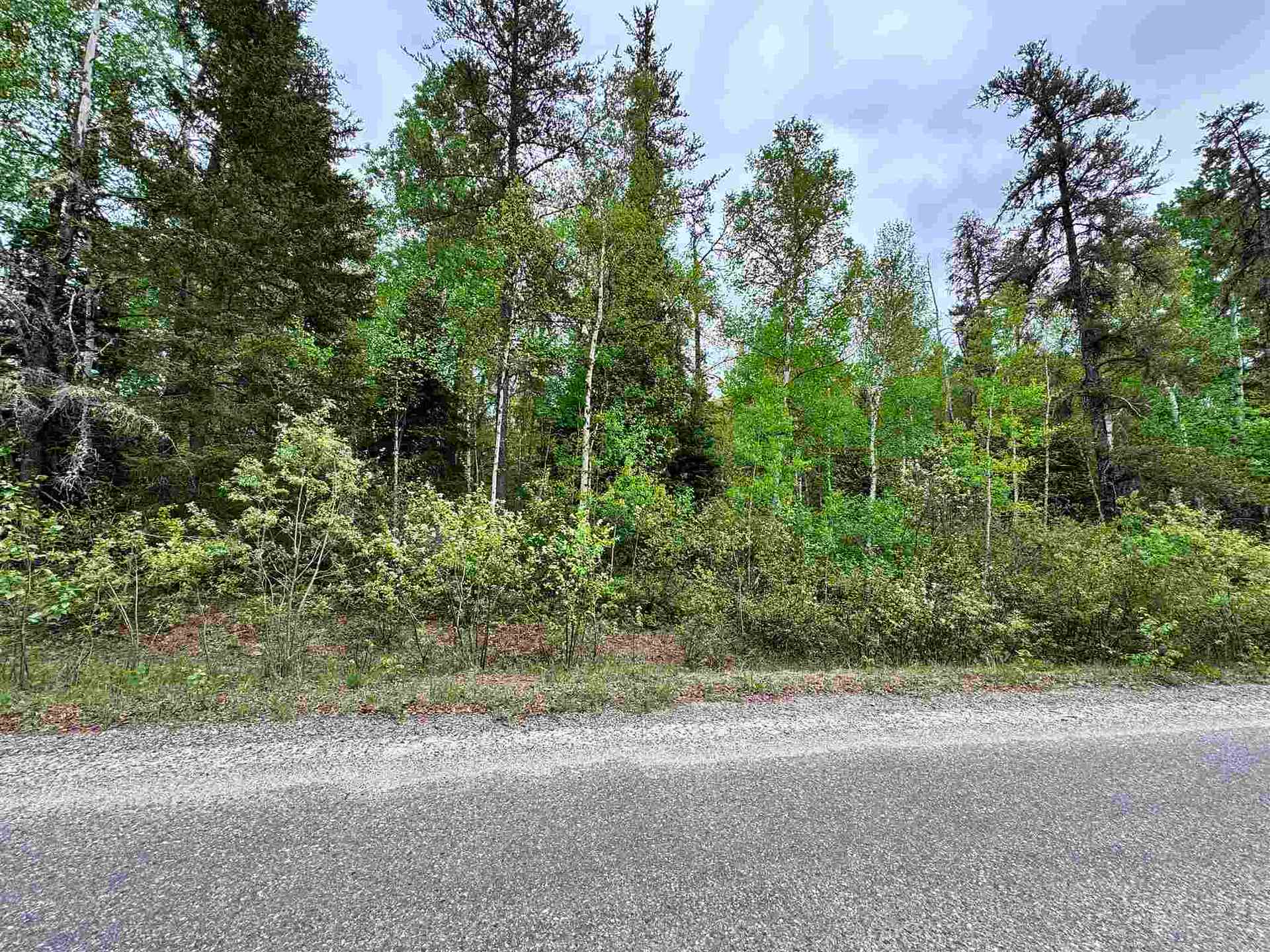 Photo 31 of 116 Devon Road, Sudbury Remote Area — HOMEH