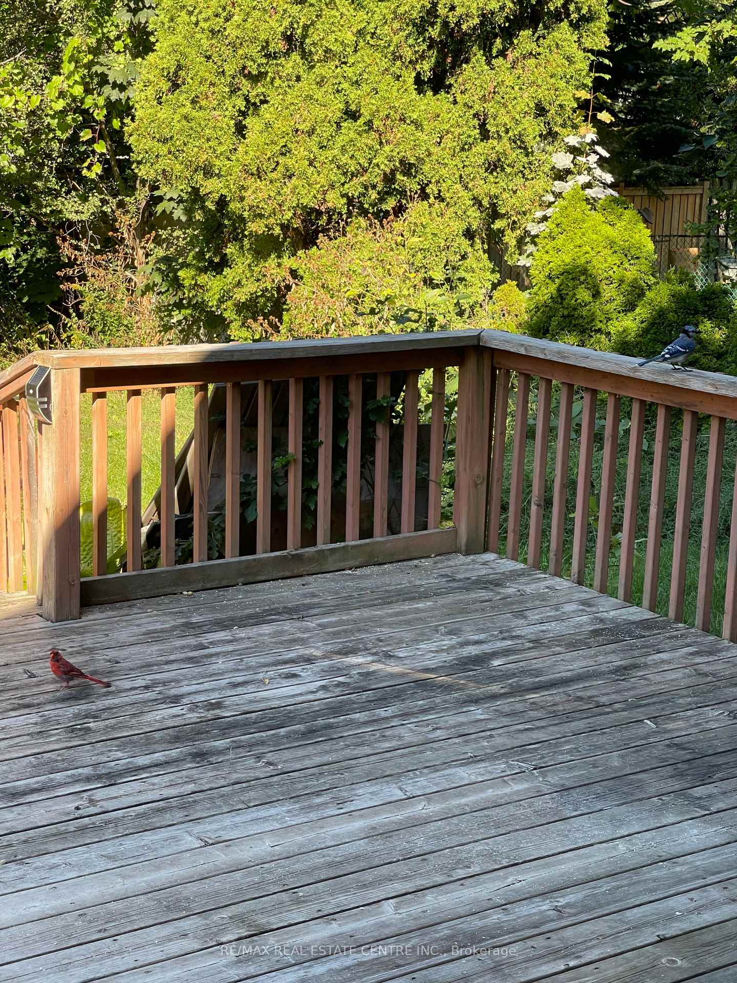 Photo 15 of Unit Main Level, 34 Singleton Road, Scarborough, Wexford-Maryvale — HOMEH