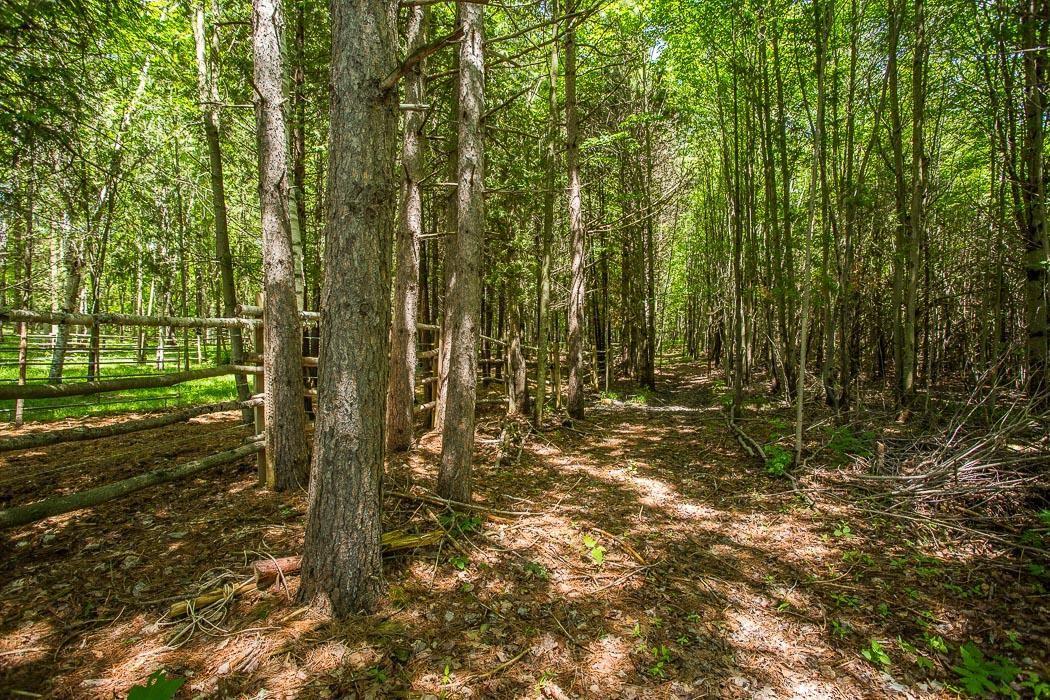 Photo 34 of 15358 Highway 17, Huron Shores — HOMEH