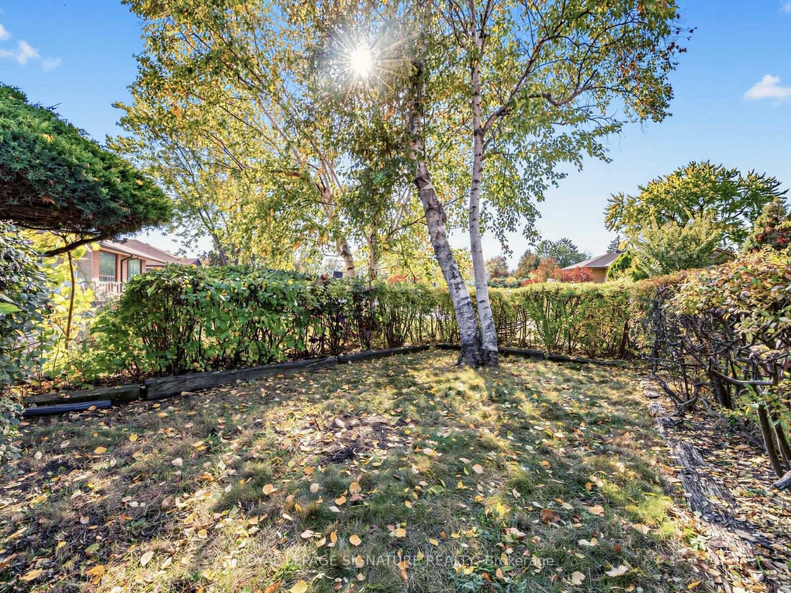 Photo 34 of 11 Albion Crescent, Brampton, Avondale — HOMEH